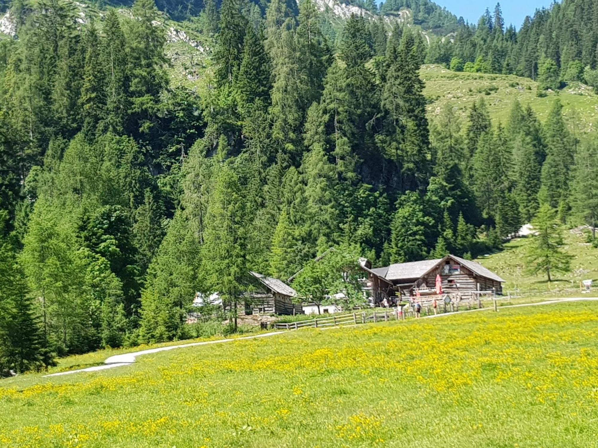 Ferienhaus Kahr Appartment Rossbrand Radstadt Dış mekan fotoğraf